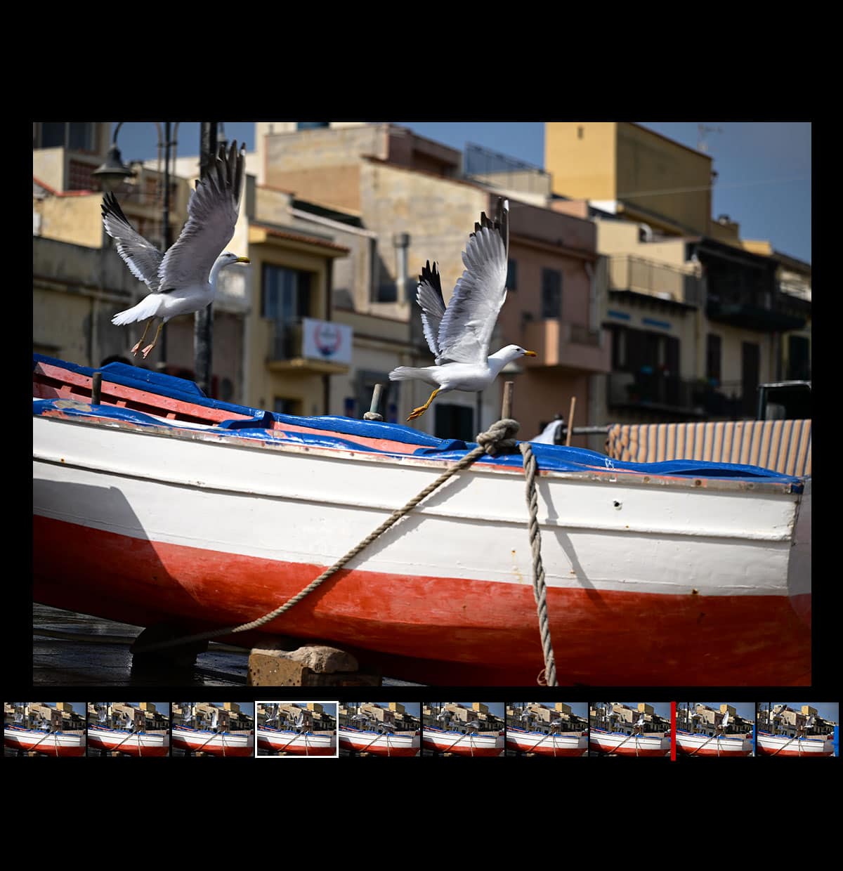 Photo of two gulls in air above a boat that's in front of buildings, and a row of smaller shots below showing pre-release capture, taken with the Z f camera